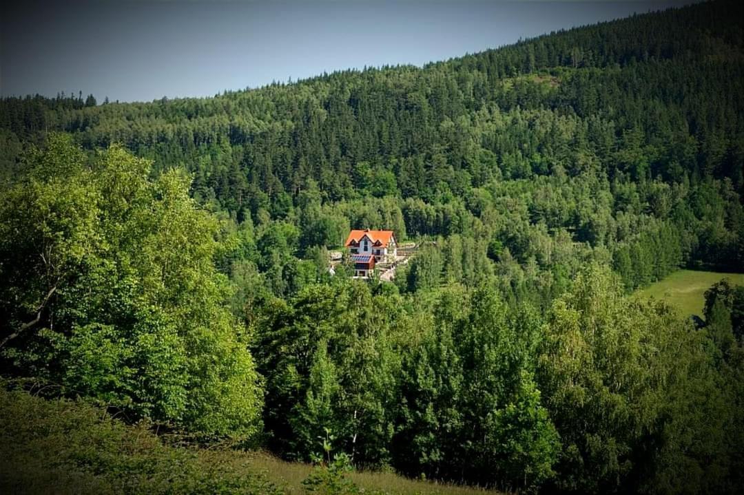 Świeradów-Zdrój Apartamety I Pokoje Goscinne Na Jaskolczej מראה חיצוני תמונה